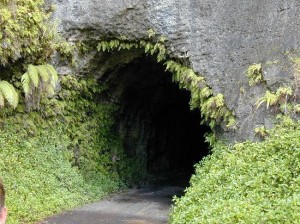 TUNNEL