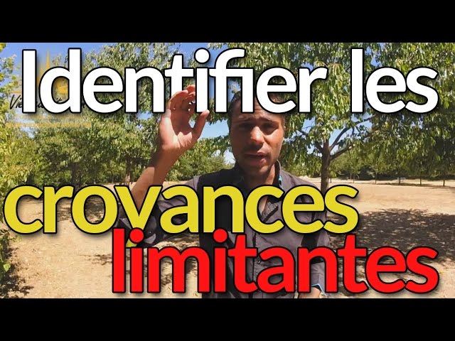 comment-identifier-tes-croyances-limitantes-daily-coaching-52-youtube-thumbnail